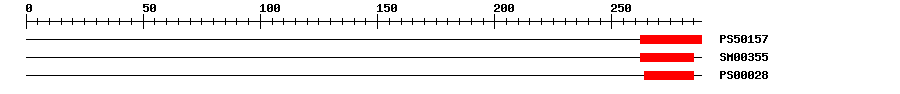 3D Structure
