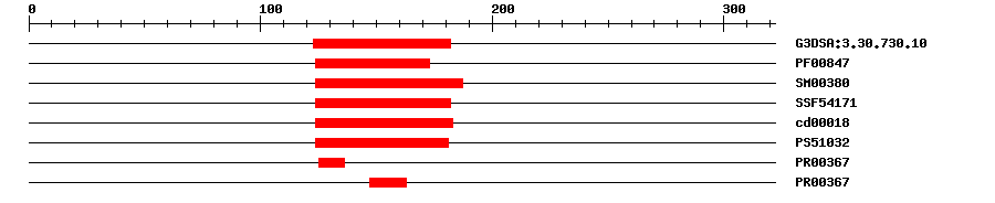 3D Structure