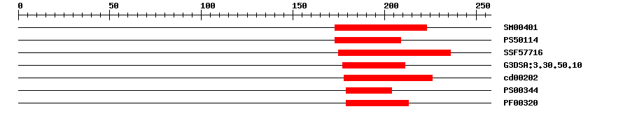 3D Structure