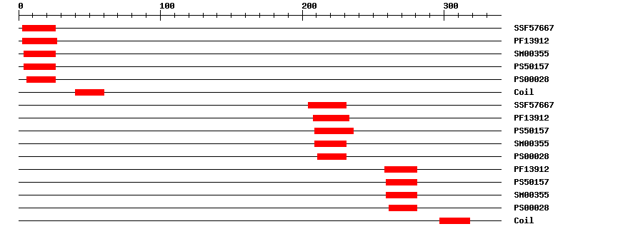 3D Structure