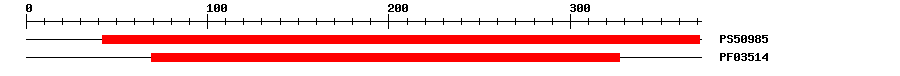 3D Structure