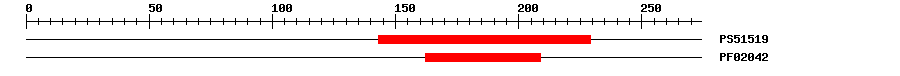 3D Structure