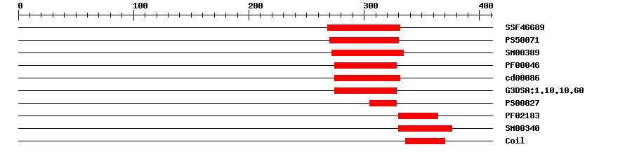 3D Structure