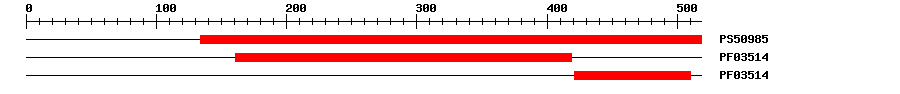 3D Structure