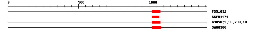 3D Structure