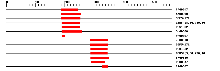 3D Structure