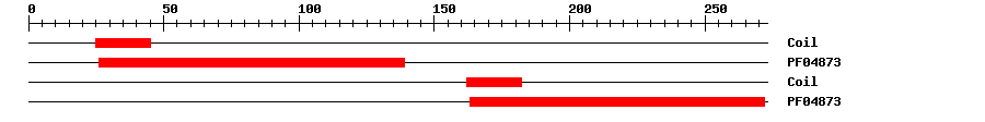 3D Structure