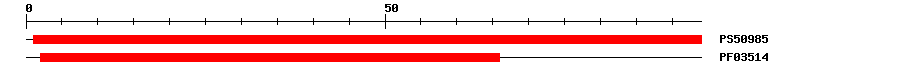 3D Structure