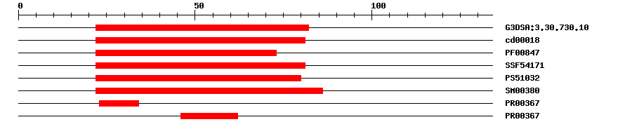 3D Structure