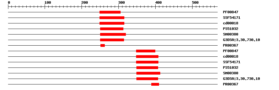 3D Structure