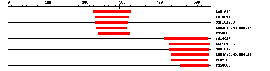 3D Structure