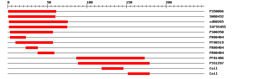 3D Structure