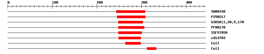 3D Structure