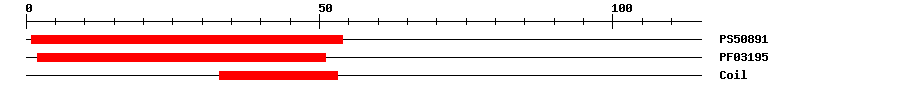 3D Structure