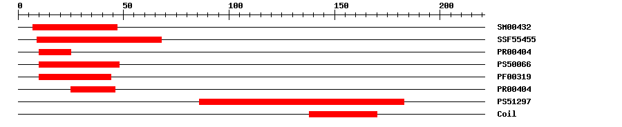 3D Structure