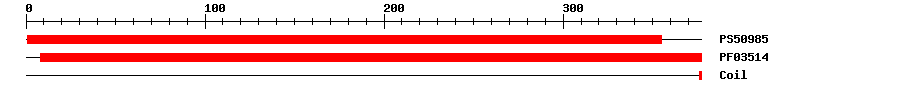 3D Structure