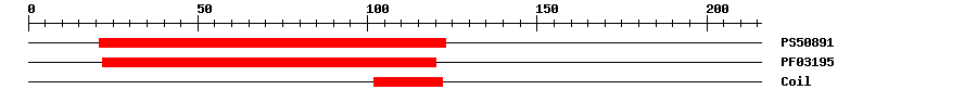 3D Structure