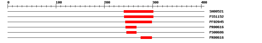 3D Structure