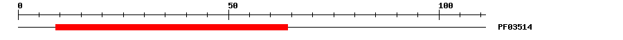 3D Structure