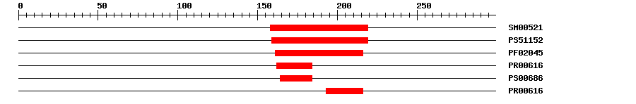 3D Structure