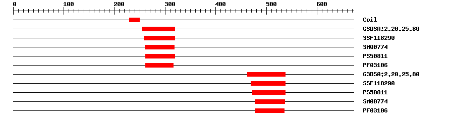 3D Structure