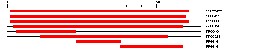 3D Structure