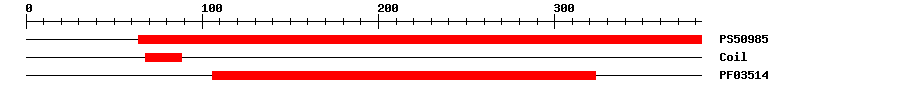 3D Structure