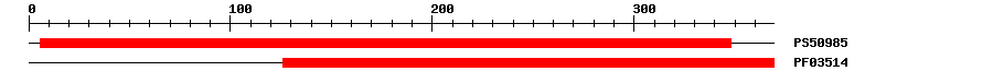3D Structure
