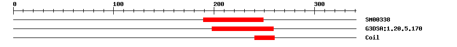 3D Structure