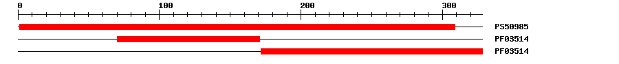 3D Structure