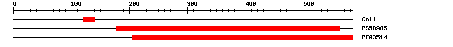3D Structure