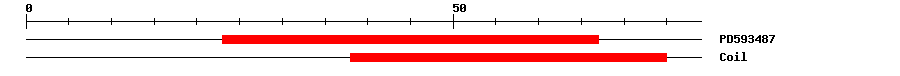 3D Structure