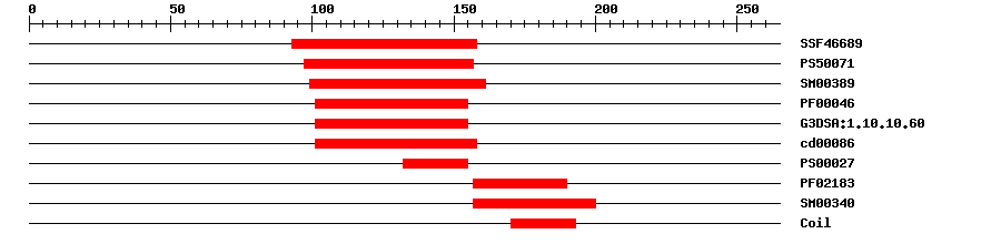 3D Structure