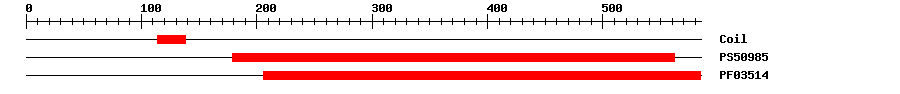 3D Structure