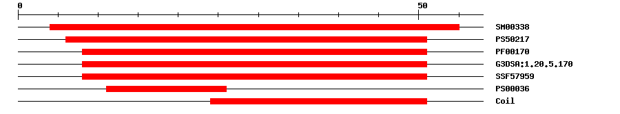 3D Structure