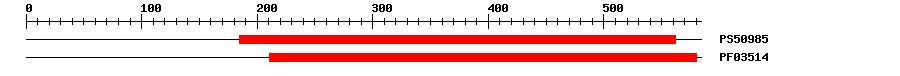 3D Structure