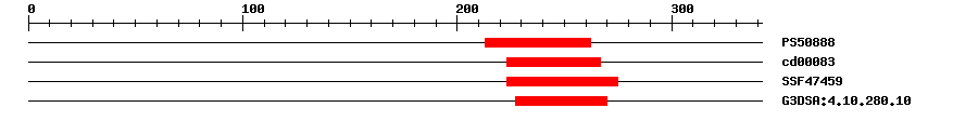 3D Structure