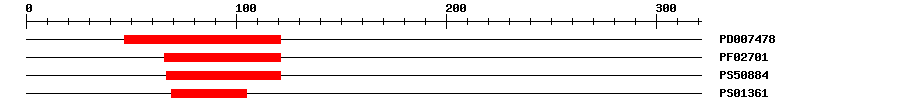 3D Structure