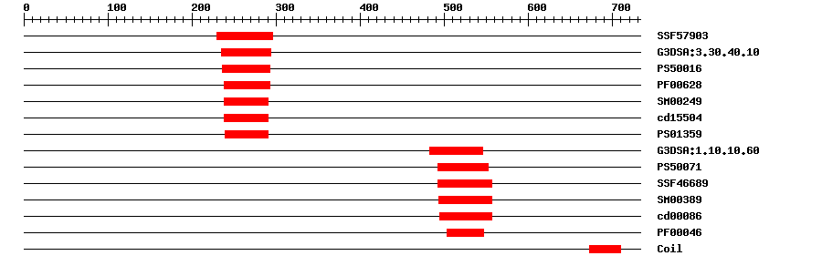 3D Structure