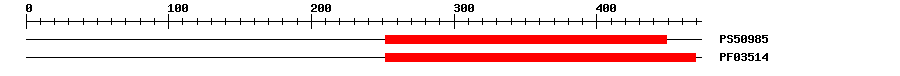 3D Structure