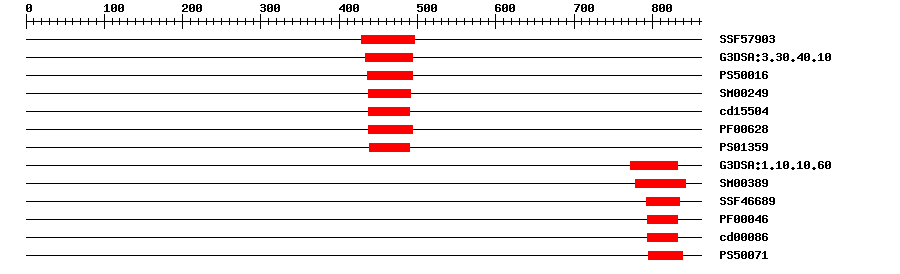 3D Structure