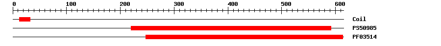 3D Structure