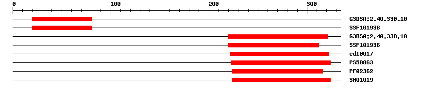 3D Structure