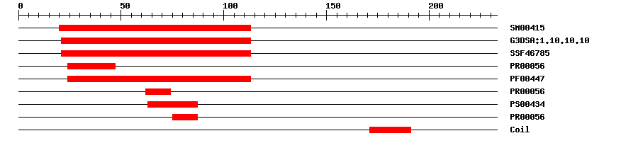 3D Structure