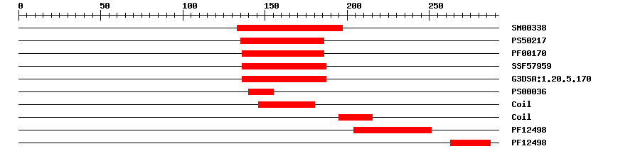 3D Structure