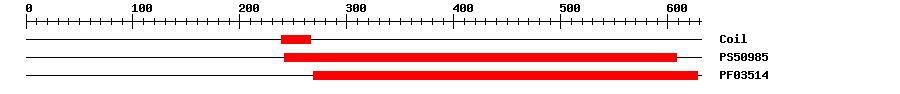 3D Structure