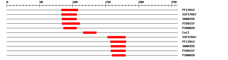 3D Structure