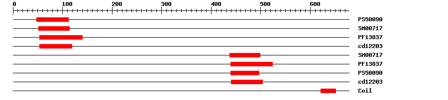 3D Structure