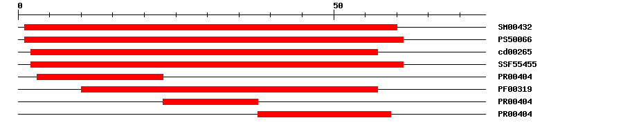 3D Structure