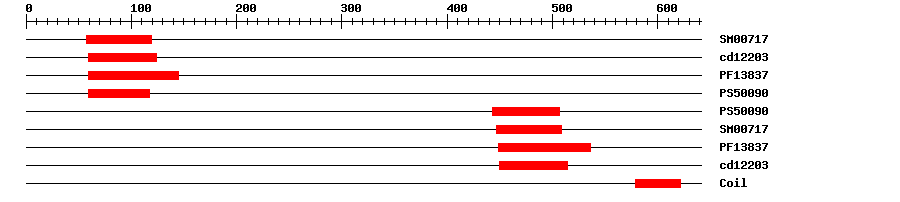 3D Structure